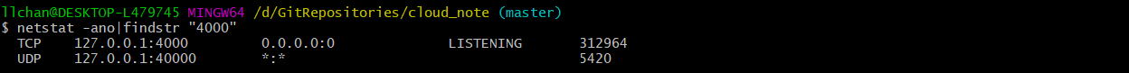 查看netstat