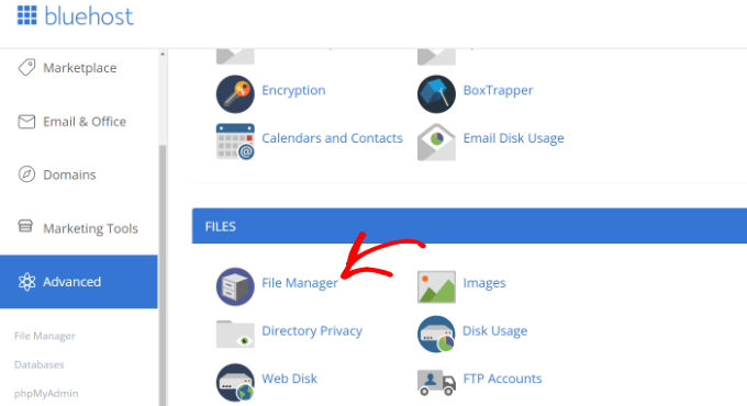 在 Bluehost 中打开文件管理器
